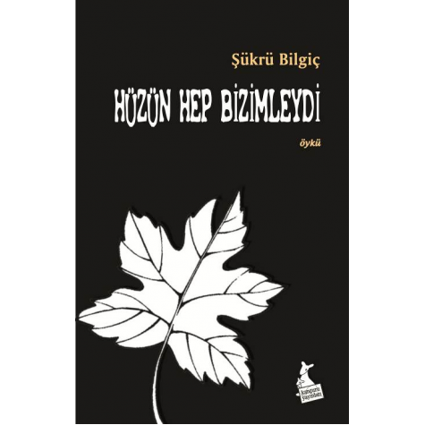 Hüzün Hep Bizimleydi - Şükrü Bilgiç